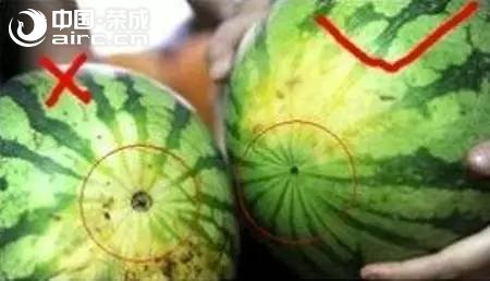 sϼҲҪĸô