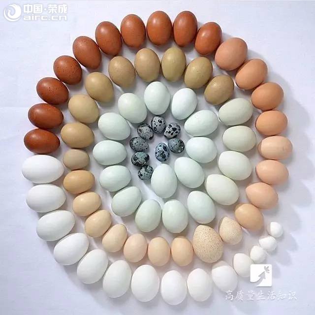 s | 2Kһ80һuɶ^(q)e˜y˜yһ@