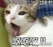 s | Ȧl(f)ˎ׏DŮӱȦǸ3r5000