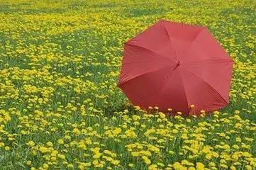s | Pc˂ӼС~