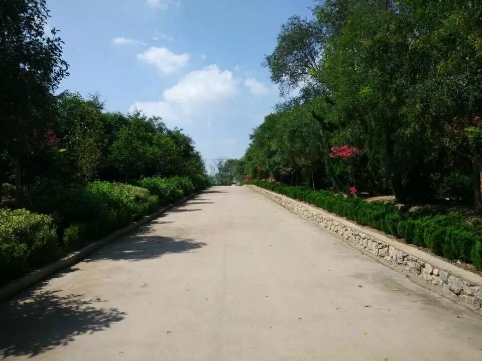 s | ˴顰،Ȧһo(w)r(ji)֮