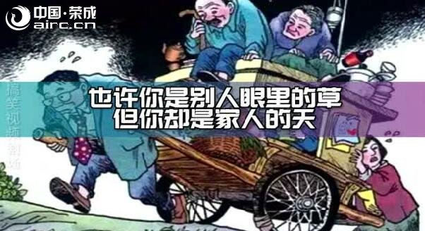 C3706_^ĘsǿҲҪ