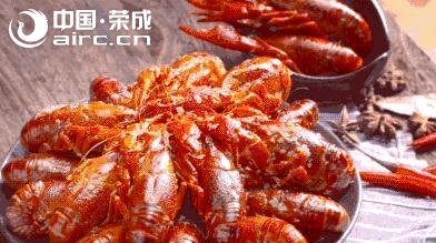 Ů賿ot(y)һֻ򡭘s